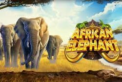 African Elephant Slots